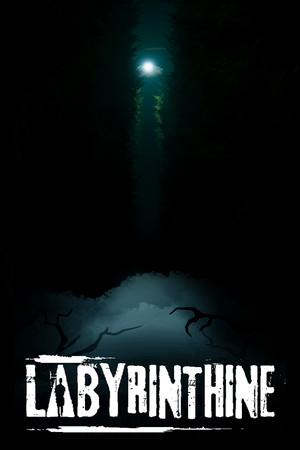 Labyrinthine - PC Steam